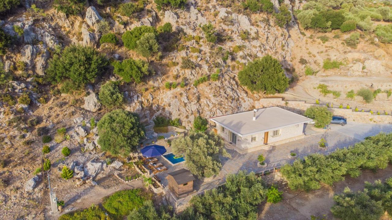 Cretan Nature Villa Alexandra 扎罗斯 外观 照片