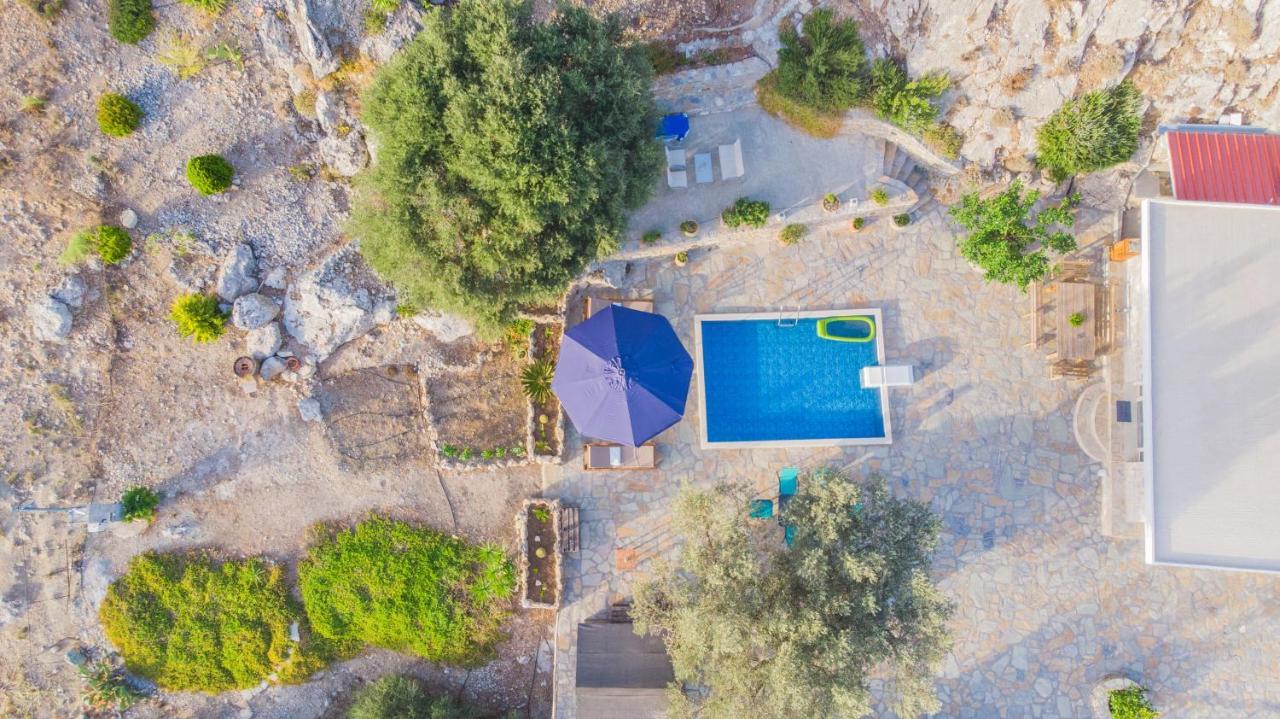 Cretan Nature Villa Alexandra 扎罗斯 外观 照片